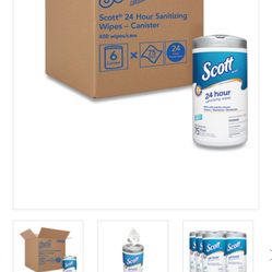 Sanitize Wipes 