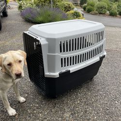 Travel Dog Kennel