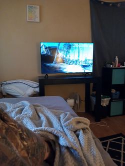 Hisense 40 Inch Ruku Tv