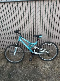 Blue Mountain Bike