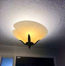Flush Mount ceiling Light