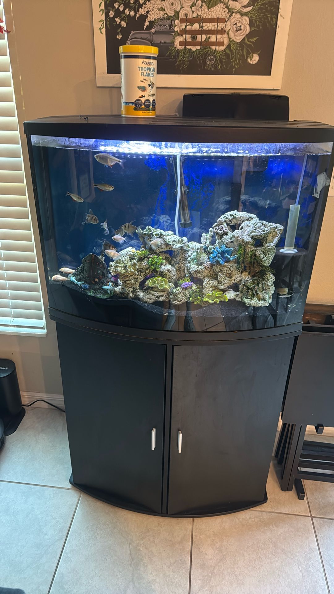 35 Gallon Bow Front Aquarium And Stand