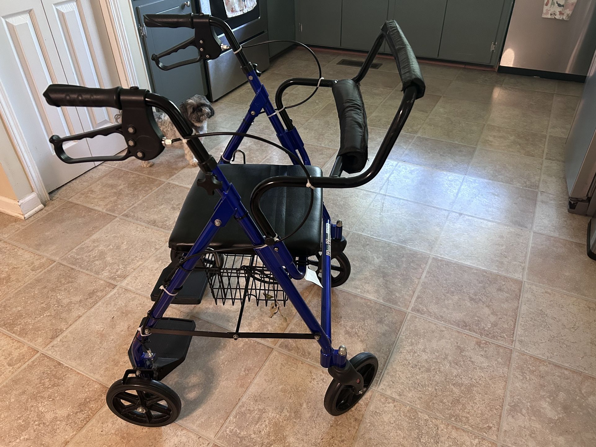Rollator Walker