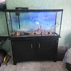 60gal Aquarium W Stand