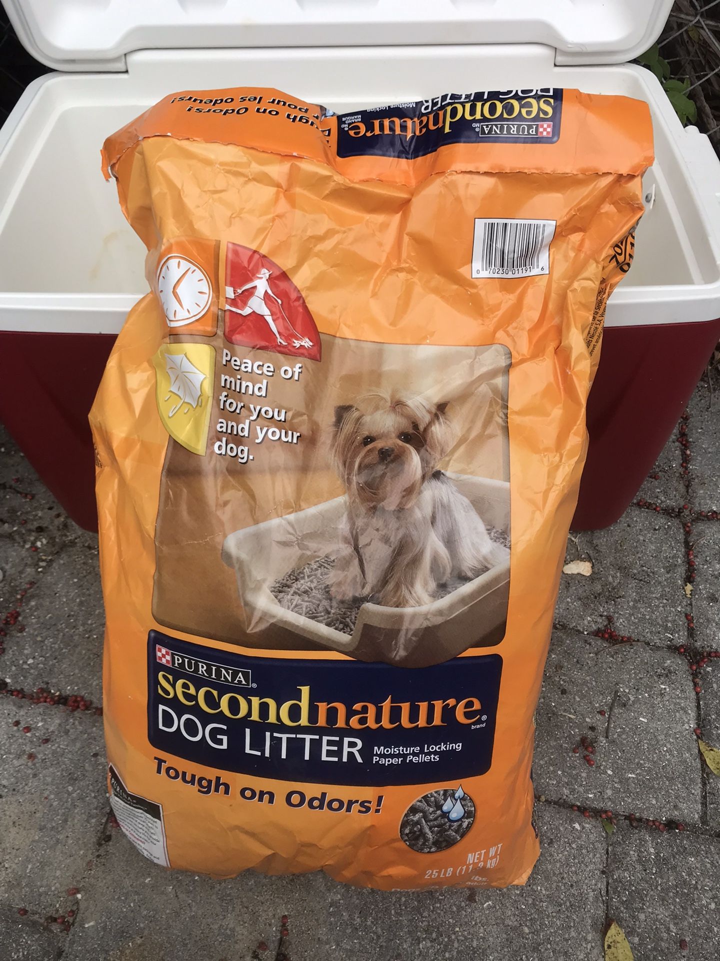 Dog Litter