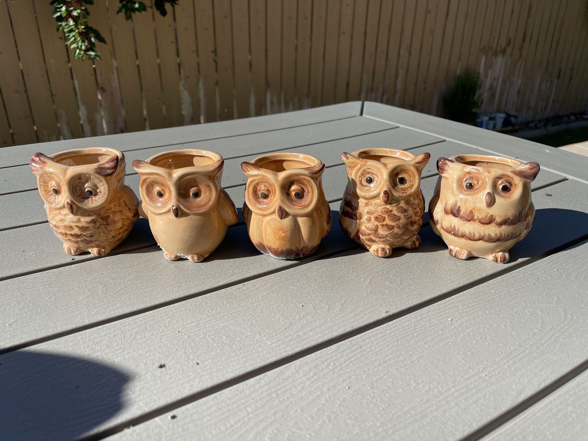 Ceramic Plant Pot Set
