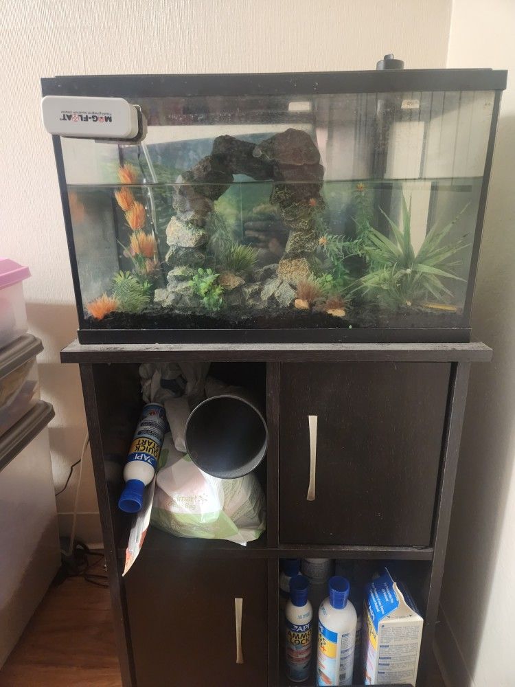 10 Gal Fish Tank & Stand