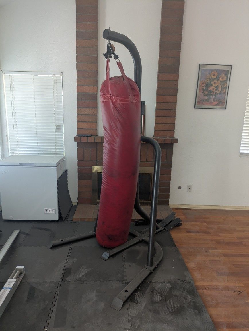 Punching Bag with Stand