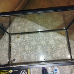 Fish Tank 10 Gallons