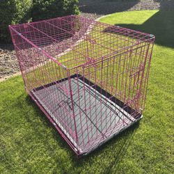 Pink Dog Cage