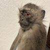 Check Out Page 