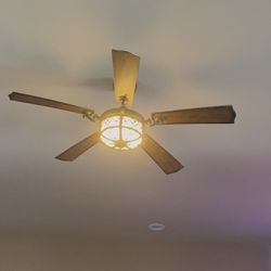 Beautiful Ceiling Fan