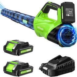 NEW! Leaf Blower Upgraded version with 2 Batteries