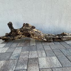 Driftwood 
