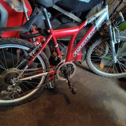 Vintage Fischer 21sp