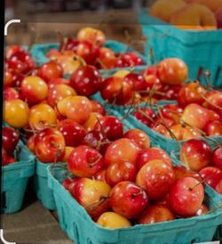 Rainier Cherries And Being Cherries