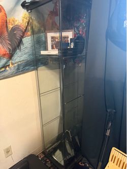 Display case