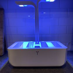 Veritable Classic - Hydroponics Growing System, Indoor Garden w/LED Grow Light, 4 Organic pre-seeded Lingots® Refills Included. Self Irrigation w/Blin