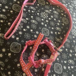 Dog Harness And Leash 