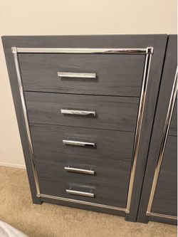 Gray Chest