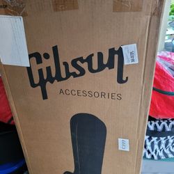 Gibson Firebird Case 