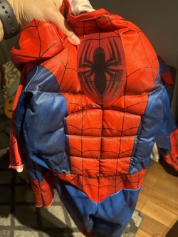 Spider-Man Costume