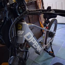 Electrik Bike