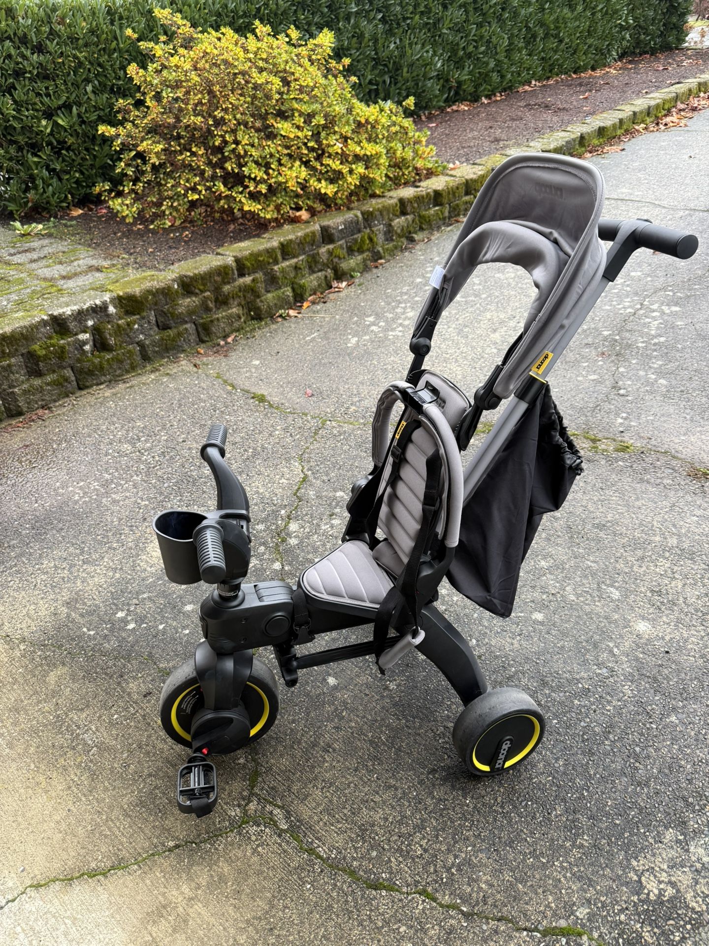 Doona Bike Stroller