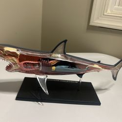 Great White Shark Anatomical Snap Together Kit 4D Puzzle Anatomy Toy Creature