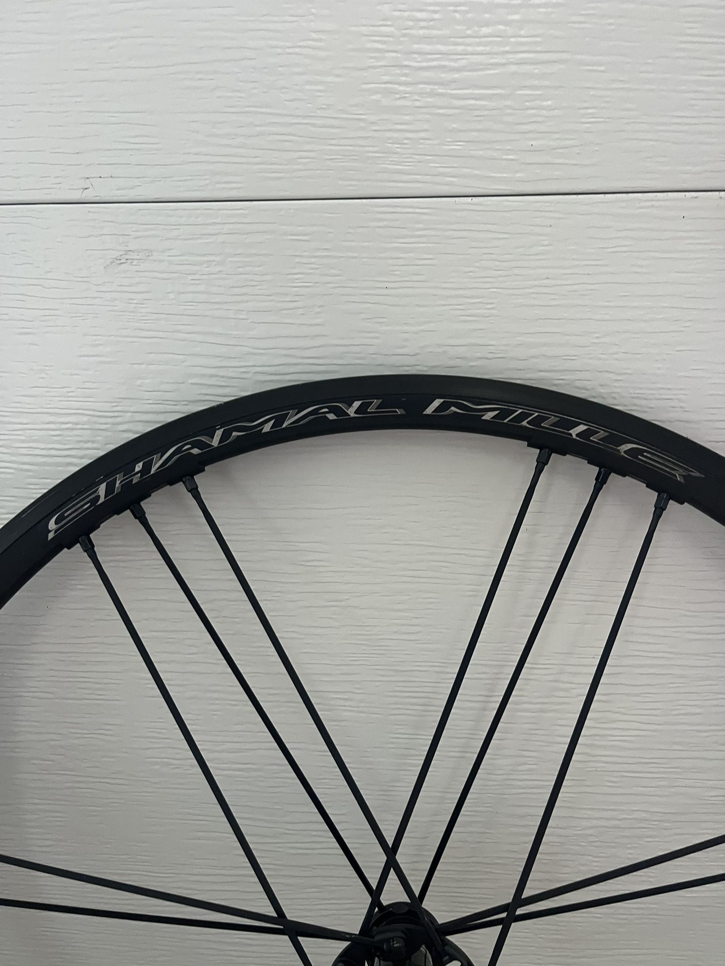 Campagnolo shamal Mille C17