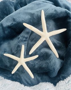 2 Starfish For Decor, Art, Or Crafts