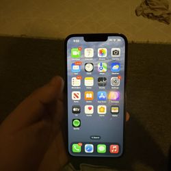 iphone 13 pro (unlocked)