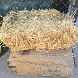 Bale Of Hay