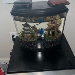 Betta Fish Tank 