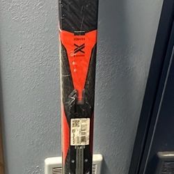 Salomon Skis 