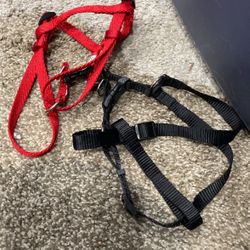 2 Medium Dog Harness 