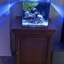 UNS 30A - 7 Gallon Dual AIO Rimless Aquarium Reef Tank with wood stand