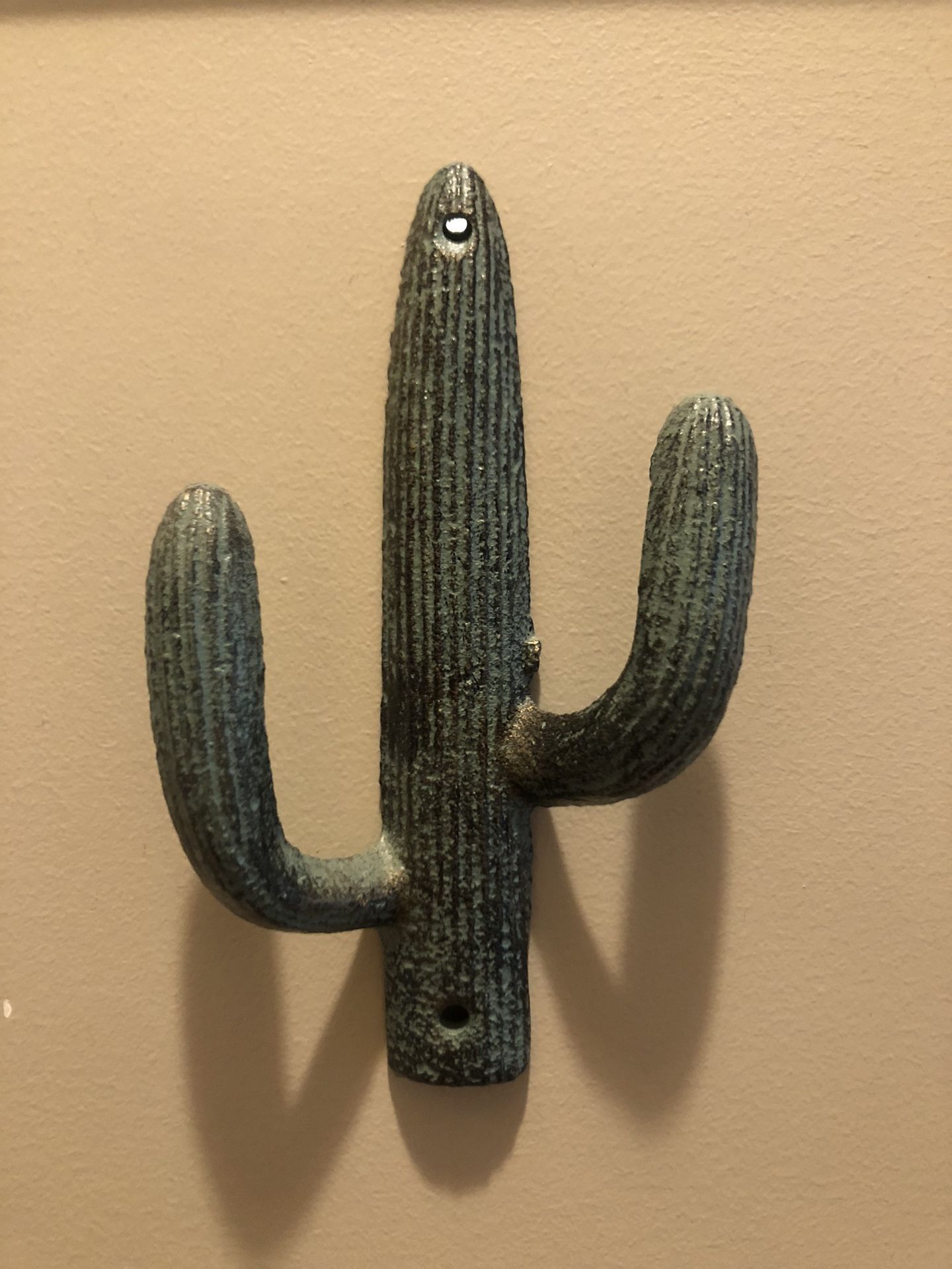 Metal Cactus Hook