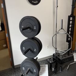 Slim Bumper Plates – Dense Rubber, Lower Bounce – Brand New 