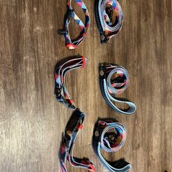 Dog Collars And Leashes 
