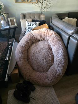 Brand new giant dog bed