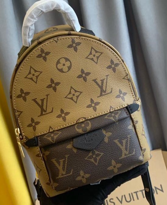 Louis Vuitton backpack