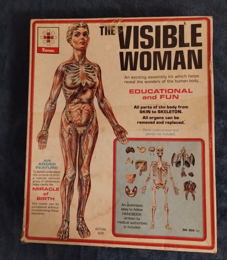 Vintage 1960s Visible Woman & Man