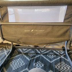 Baby Delight Bassinet 