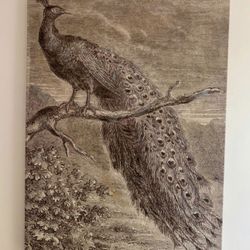 Beautiful Peacock Artwork🖼️!!!! 