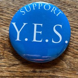 FREE  Y.E.S. magnet buttons