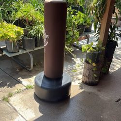 Punching Bag 