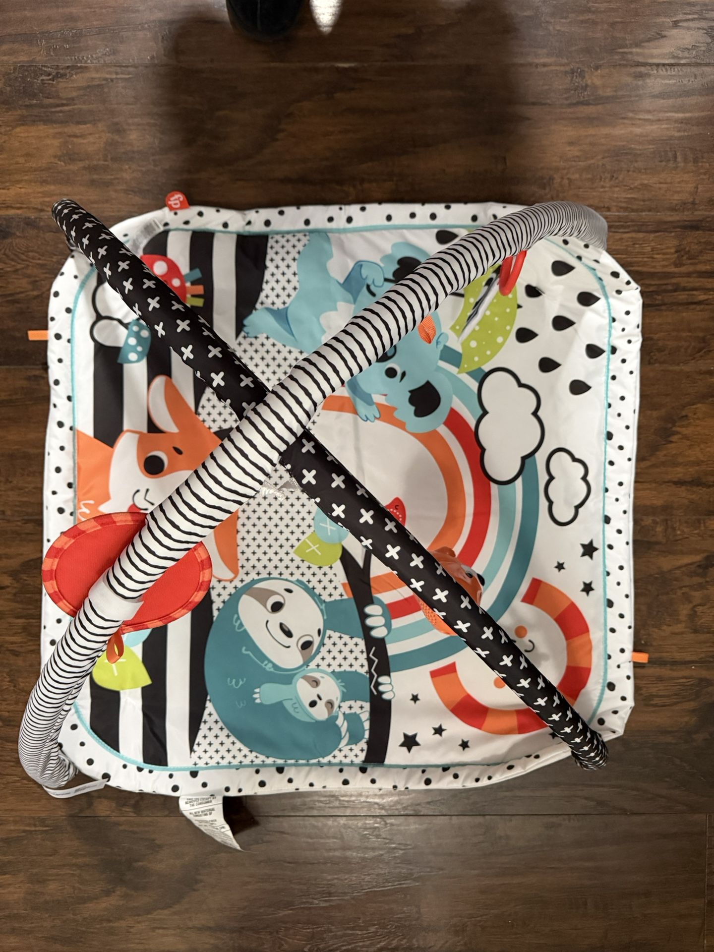 Fisher Price Play Mat