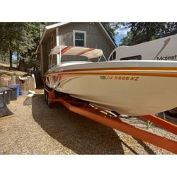 29’ cheetah