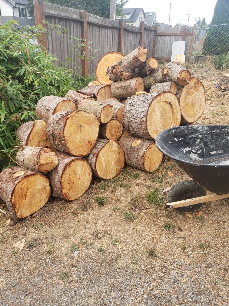 free firewood